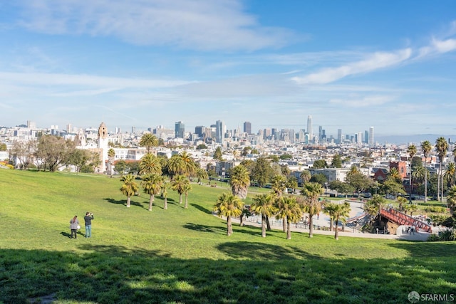 3310 19th St Unit 303, San Francisco, CA 94110 - view of property's community with a view of skyline and a lawn