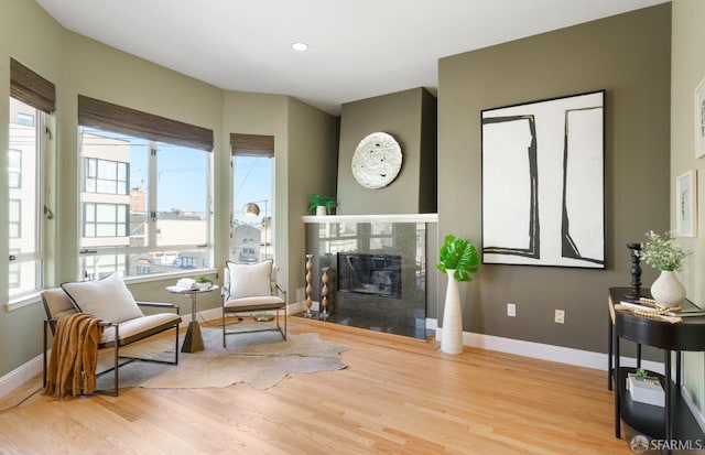 3310 19th St Unit 303, San Francisco, CA 94110 - living area featuring wood finished floors, baseboards, a premium fireplace, and recessed lighting