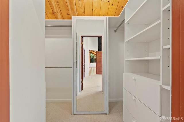 spacious closet featuring light carpet