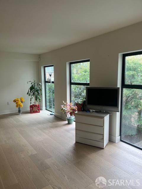 living room with light wood-type flooring and a healthy amount of sunlight