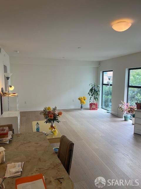 dining area featuring light hardwood / wood-style flooring