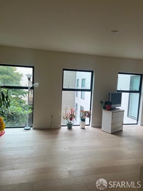 interior space with light wood-type flooring