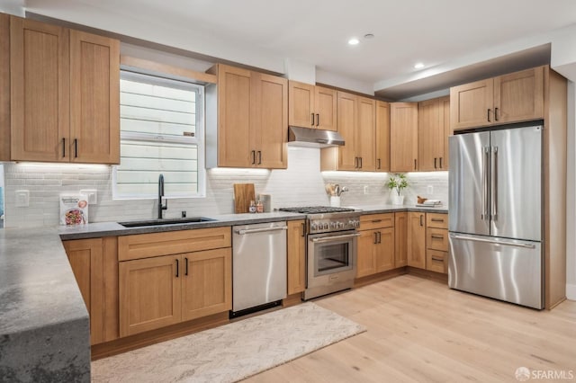 kitchen with under cabinet range hood, a sink, stainless steel appliances, light wood finished floors, and decorative backsplash