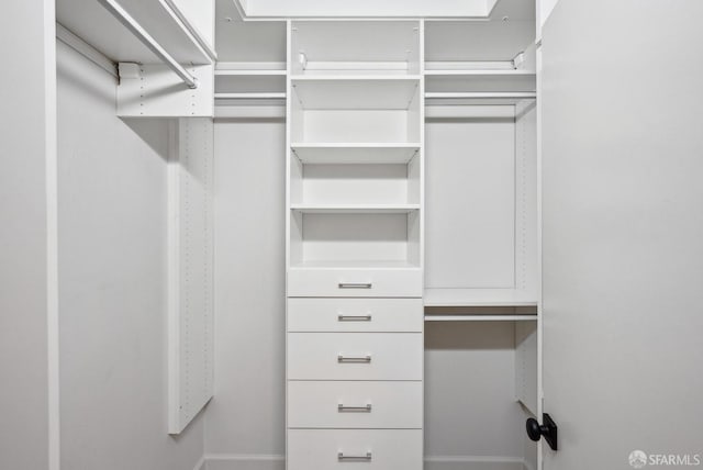 view of spacious closet