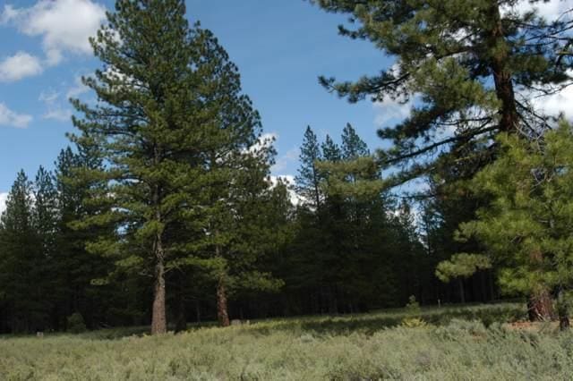 12593 Caleb Dr, Truckee, CA 96161 - photo 1