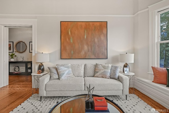 living room featuring wood finished floors