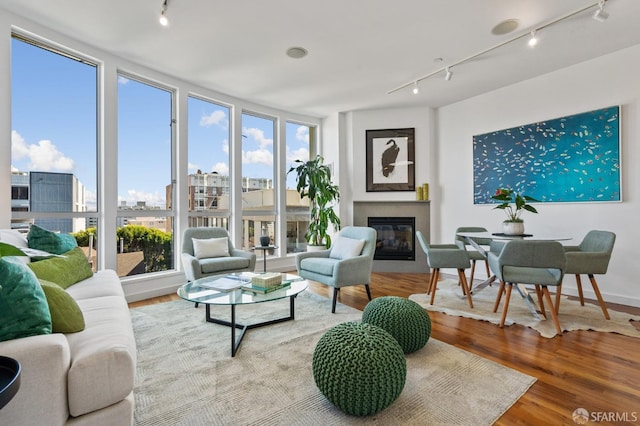 living room featuring light wood-type flooring