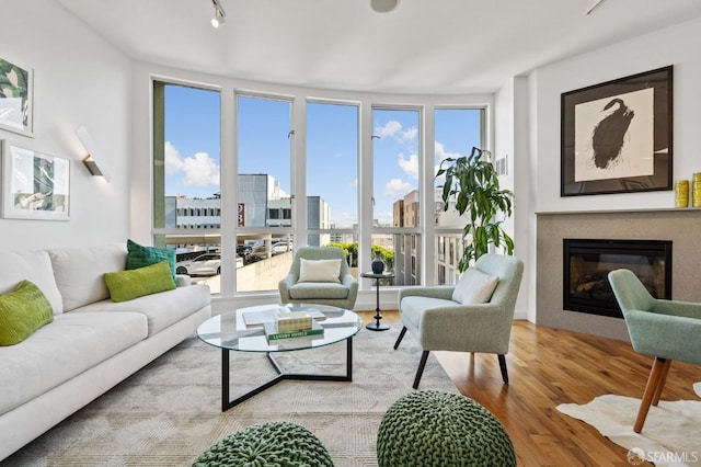 living room featuring light hardwood / wood-style flooring, a wall of windows, and a wealth of natural light