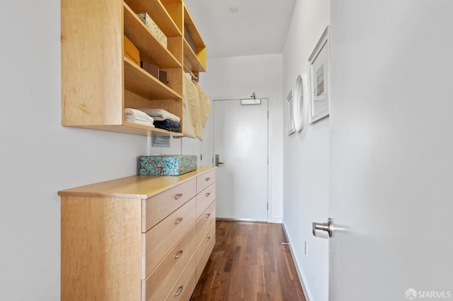 spacious closet with dark wood-type flooring