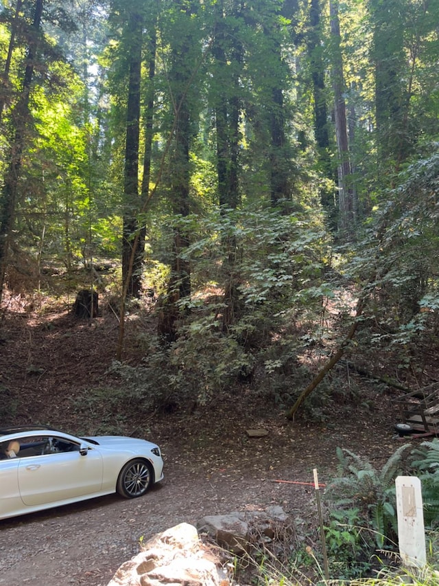55 Conifer Way, Woodacre, CA 94973
