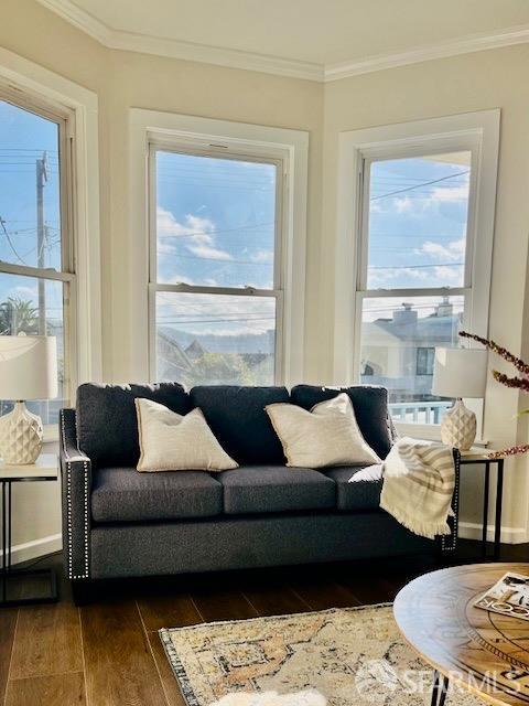 living room featuring dark wood-type flooring and ornamental molding