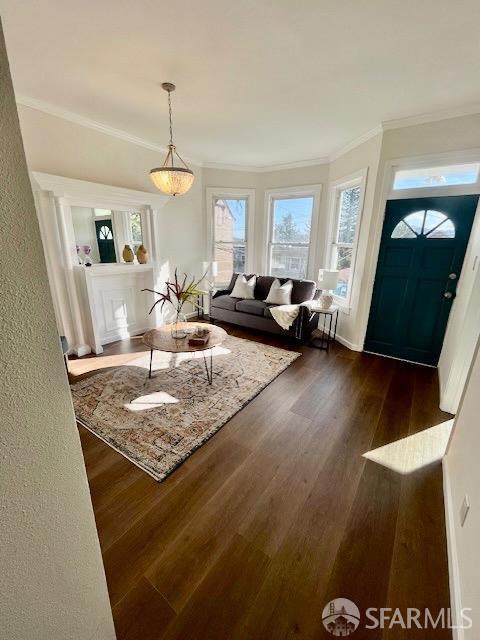 living room with crown molding and dark hardwood / wood-style floors