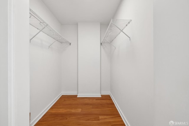 walk in closet featuring wood finished floors