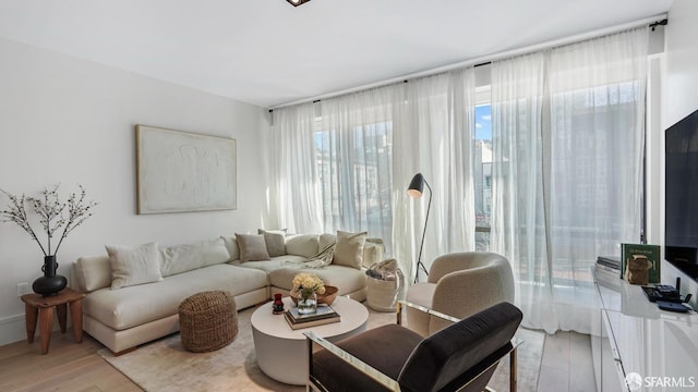 living room featuring light hardwood / wood-style floors