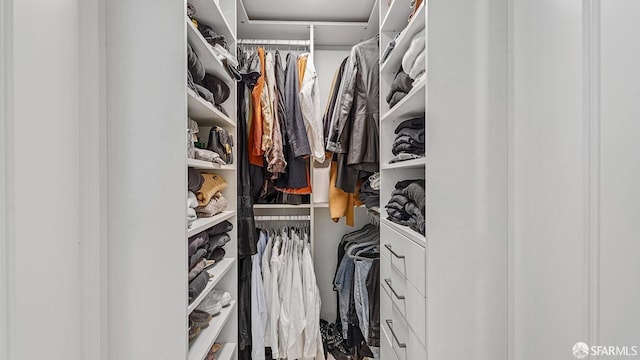 view of walk in closet