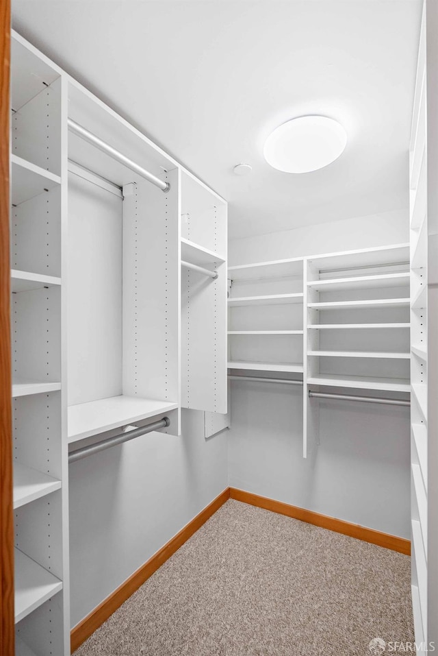 walk in closet featuring carpet floors