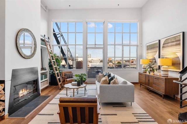 living room featuring light hardwood / wood-style flooring