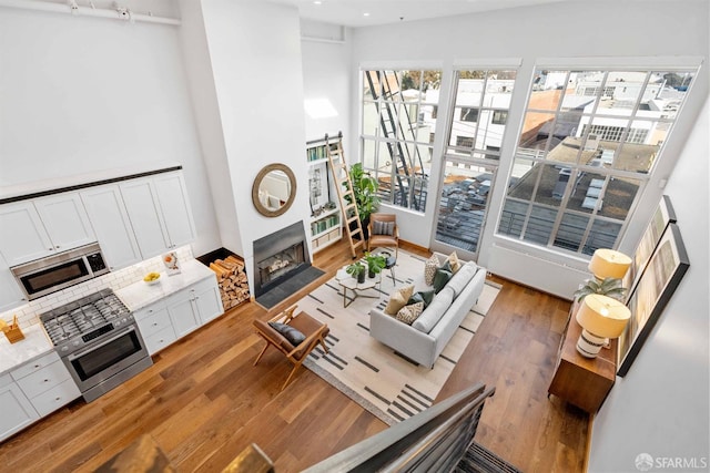 living room featuring hardwood / wood-style flooring