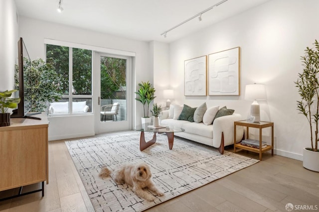 living area featuring track lighting and wood finished floors