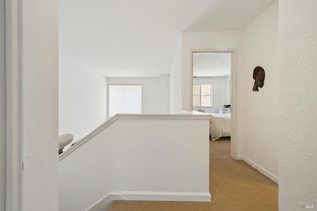 35 Buckelew St, Sausalito, CA 94965 - photo 27