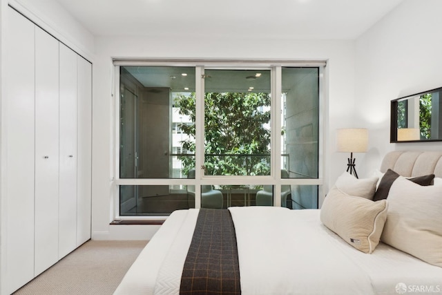 bedroom with a closet and carpet floors