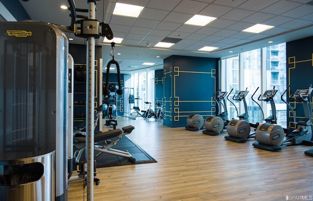 gym with a paneled ceiling, a healthy amount of sunlight, wood finished floors, and floor to ceiling windows