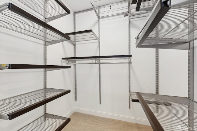 walk in closet featuring carpet floors