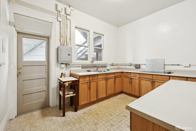 kitchen featuring black electric cooktop, brown cabinetry, light countertops, electric panel, and a sink