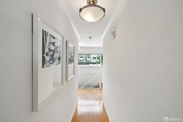 18 Cragmont Ave, San Francisco, CA 94116 - photo 43