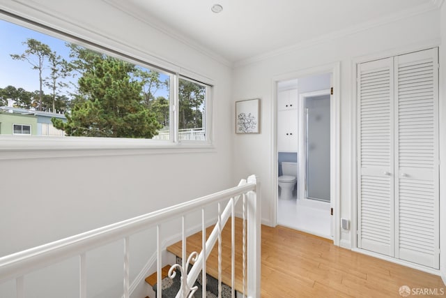 18 Cragmont Ave, San Francisco, CA 94116 - photo 44