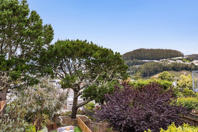 18 Cragmont Ave, San Francisco, CA 94116 - photo 21