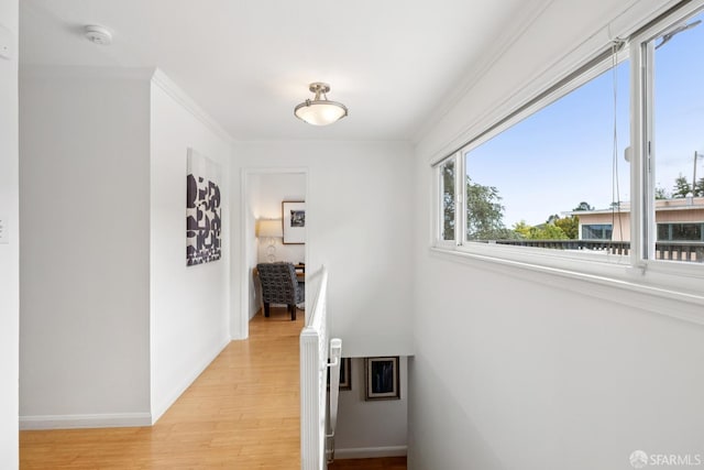 18 Cragmont Ave, San Francisco, CA 94116 - photo 49
