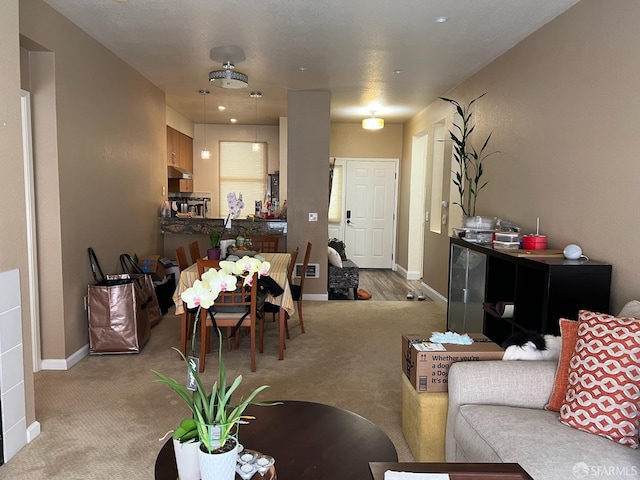 living room featuring light colored carpet