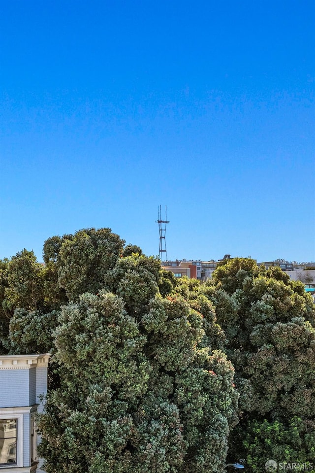 2736 Bush St, San Francisco, CA 94115 - photo 31