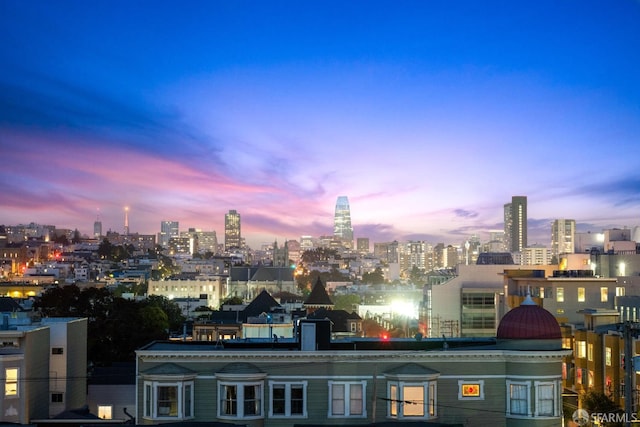 2736 Bush St, San Francisco, CA 94115 - photo 35