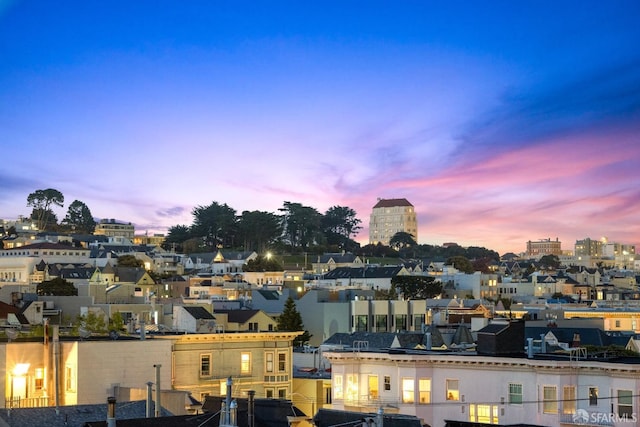 2736 Bush St, San Francisco, CA 94115 - photo 36