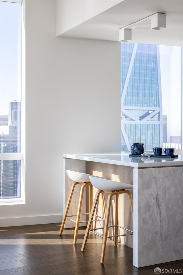 interior space featuring dark hardwood / wood-style flooring