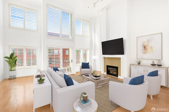 living room featuring a towering ceiling, a healthy amount of sunlight, rail lighting, and light hardwood / wood-style flooring