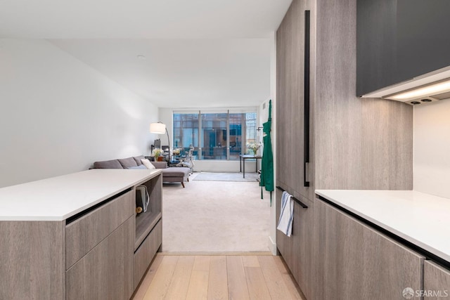 interior space featuring light wood-type flooring