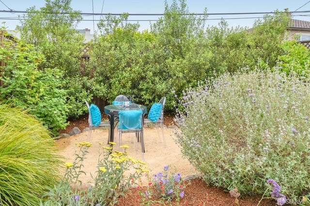 117 Meadowbrook Dr, San Francisco, CA 94132 - view of patio / terrace
