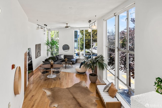 1603 18th St, San Francisco, CA 94107 - living room with ceiling fan and wood finished floors