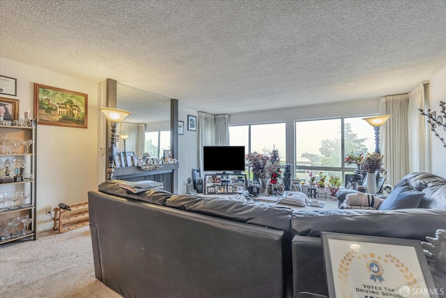 carpeted living room with a textured ceiling