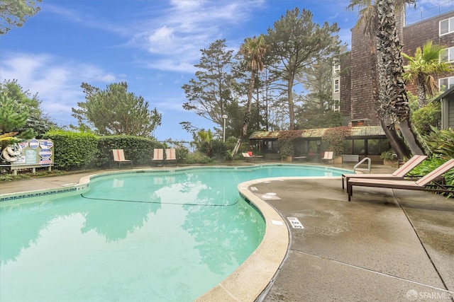 view of pool featuring a patio area