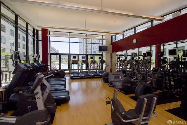 exercise room featuring expansive windows and wood-type flooring