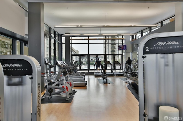 gym featuring floor to ceiling windows and wood-type flooring