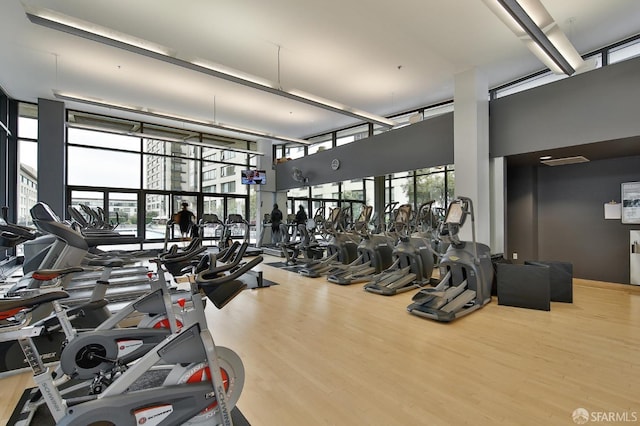 exercise room featuring wood-type flooring and a high ceiling