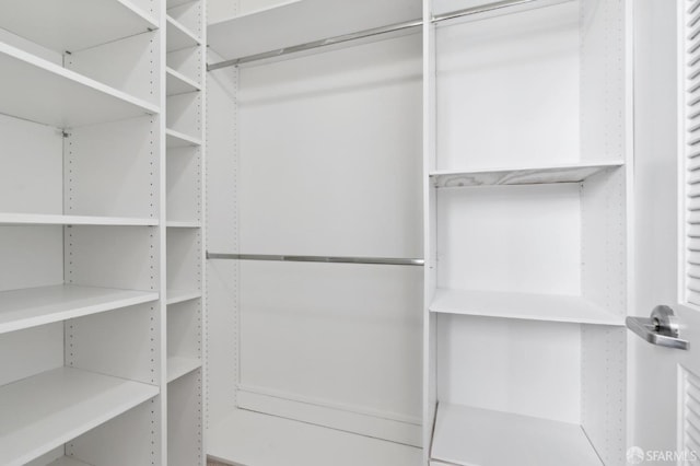 view of spacious closet