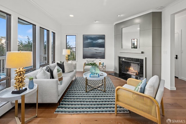 536 Wisconsin St, San Francisco, CA 94107 - living room featuring ornamental molding, wood finished floors, a fireplace, and recessed lighting