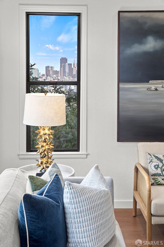 536 Wisconsin St, San Francisco, CA 94107 - living area with wood finished floors and a skyline view