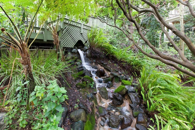 536 Wisconsin St, San Francisco, CA 94107 - view of yard